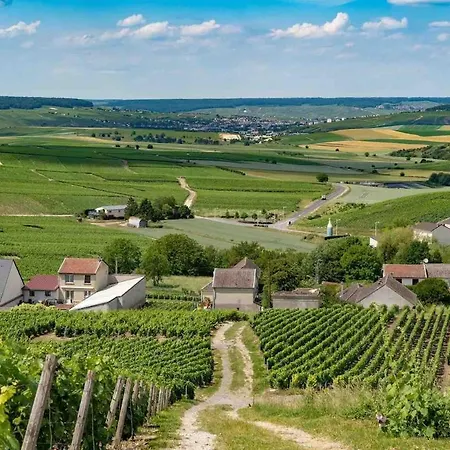Appartamento Cocon Entre Centre Autoroute Reims